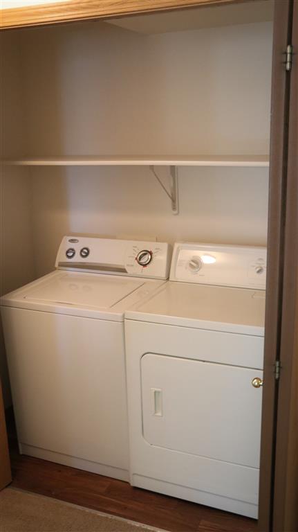 Gallery Photo 42